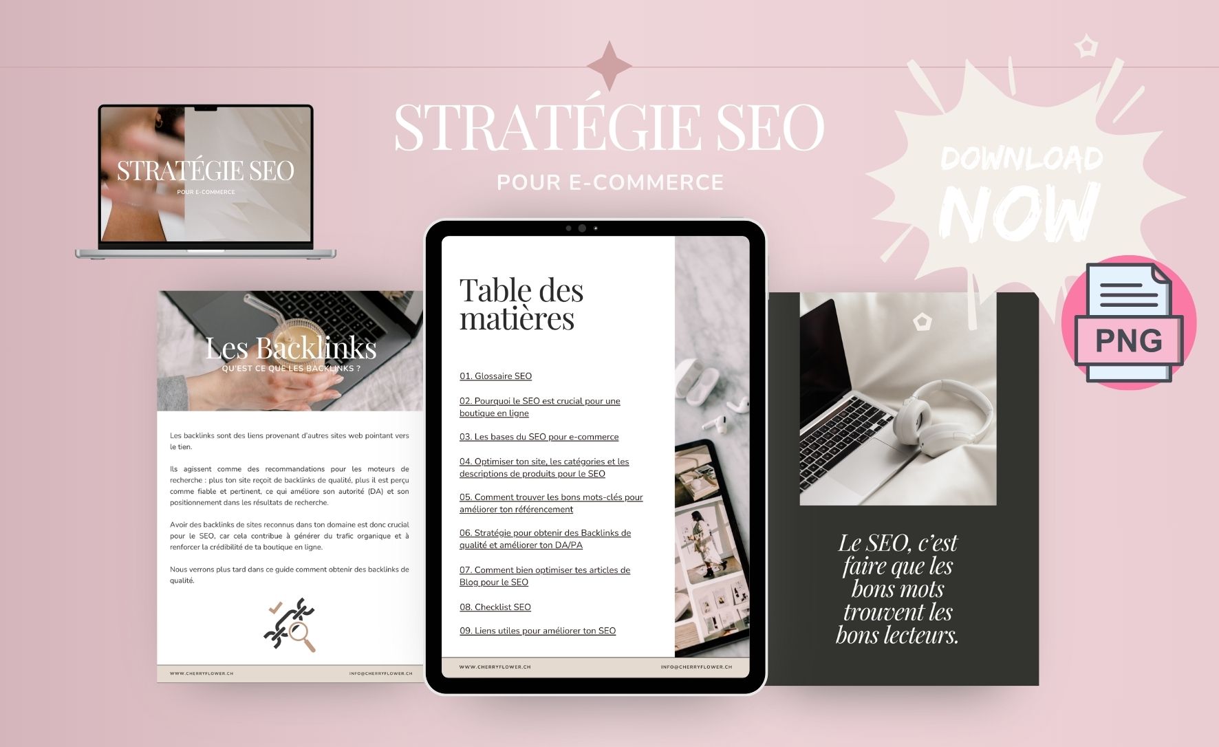 Stratégie SEO ecommerce